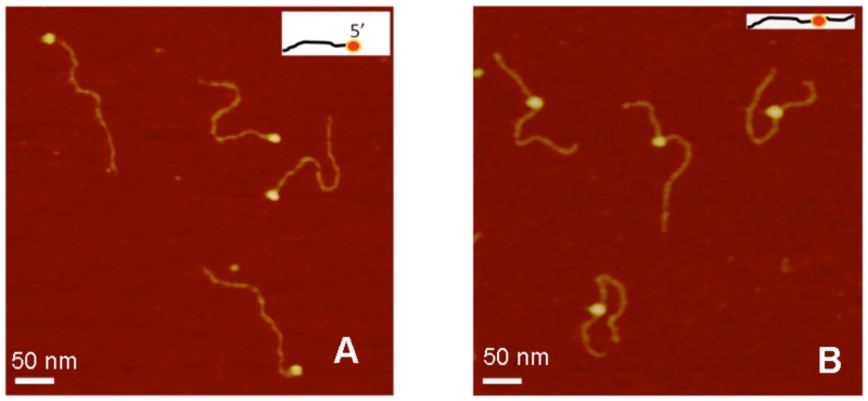 FIG. 11