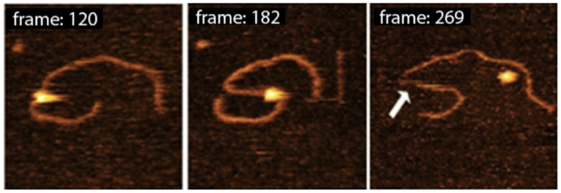 FIG. 20