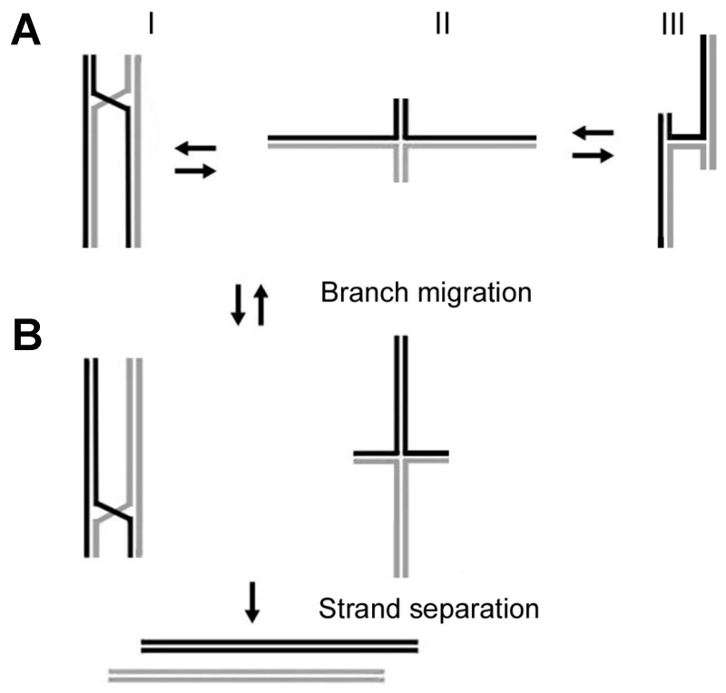 FIG. 13