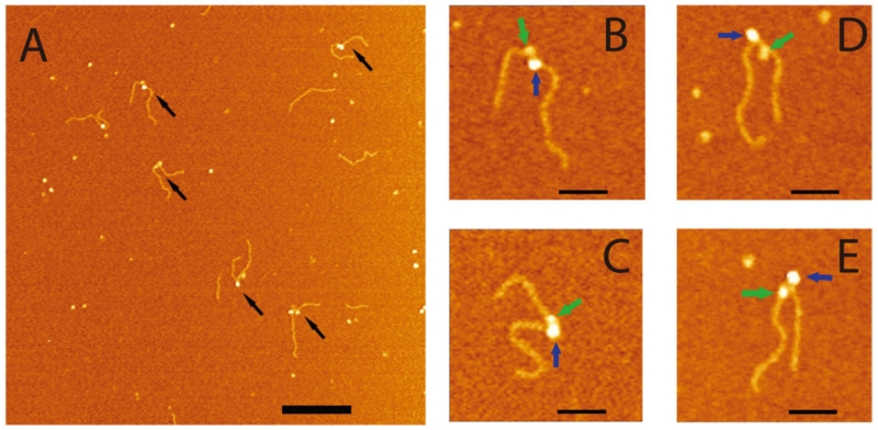 FIG. 7