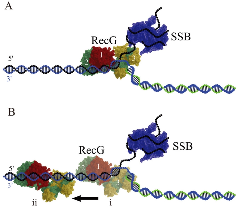 FIG. 8