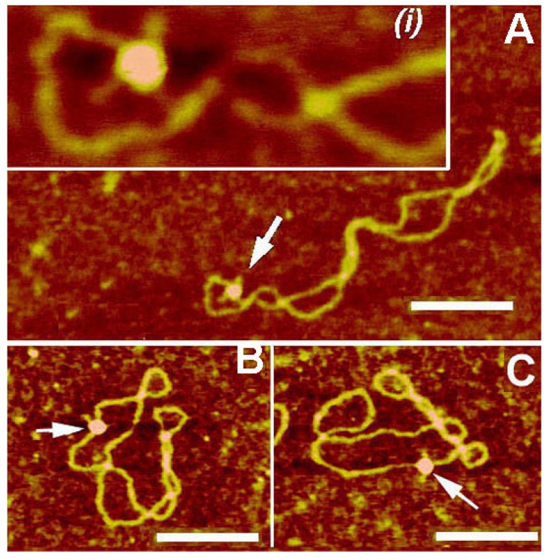 FIG. 3