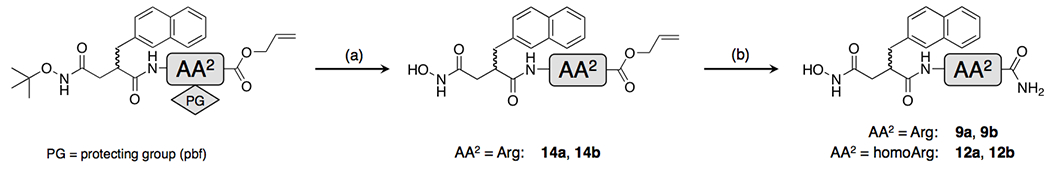 Scheme 3