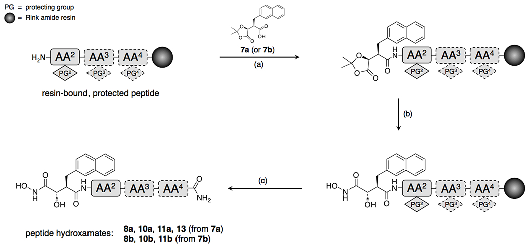 Scheme 2