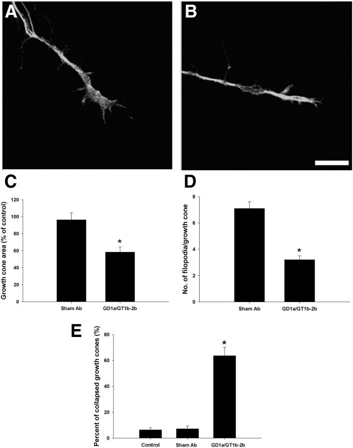 Figure 9.