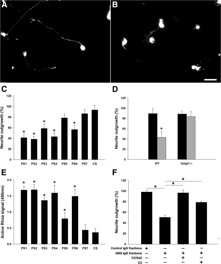 Figure 11.