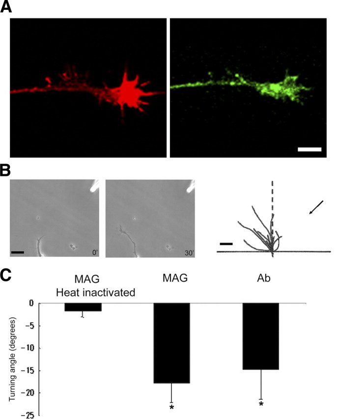 Figure 10.