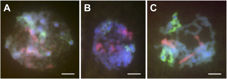 Fig. 3.