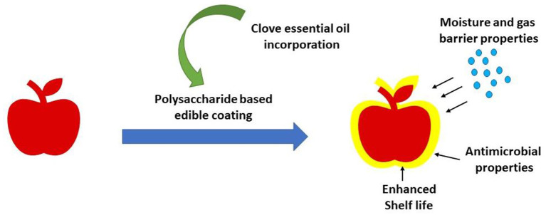 Figure 13