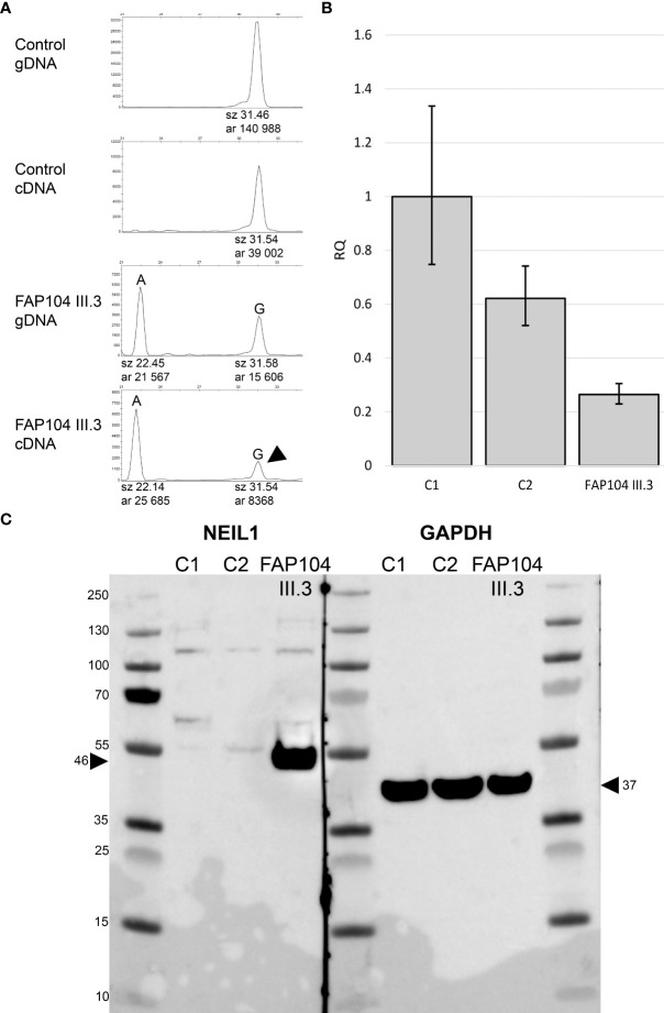 Figure 3