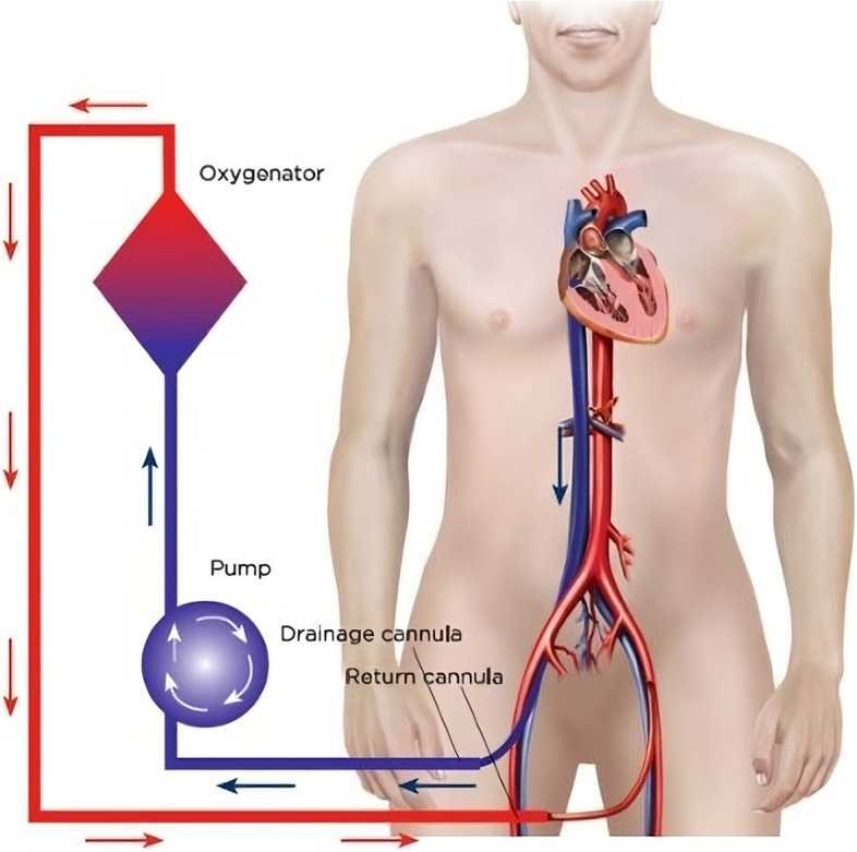 Fig. 1