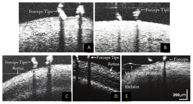 Fig. 10