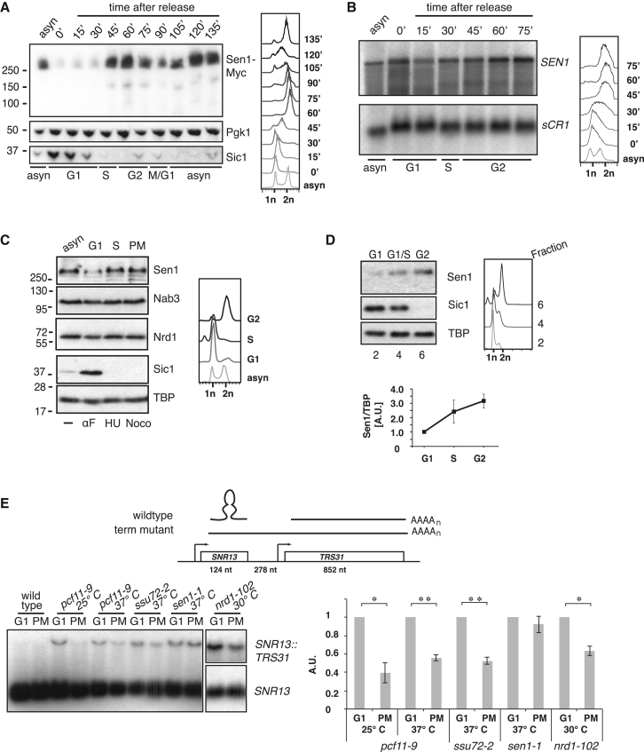 Figure 1