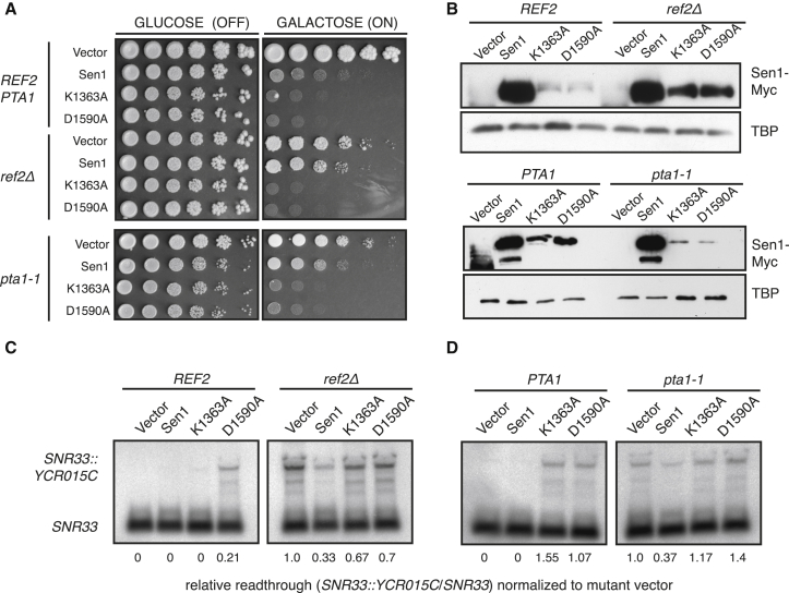 Figure 5