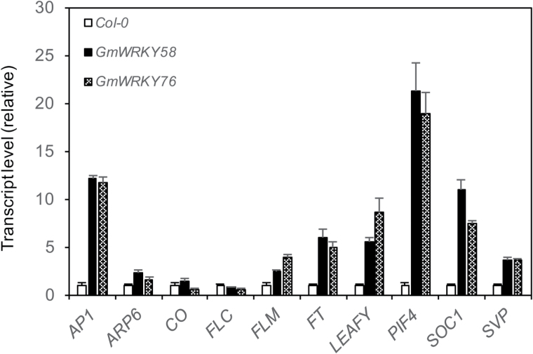 Fig. 9.