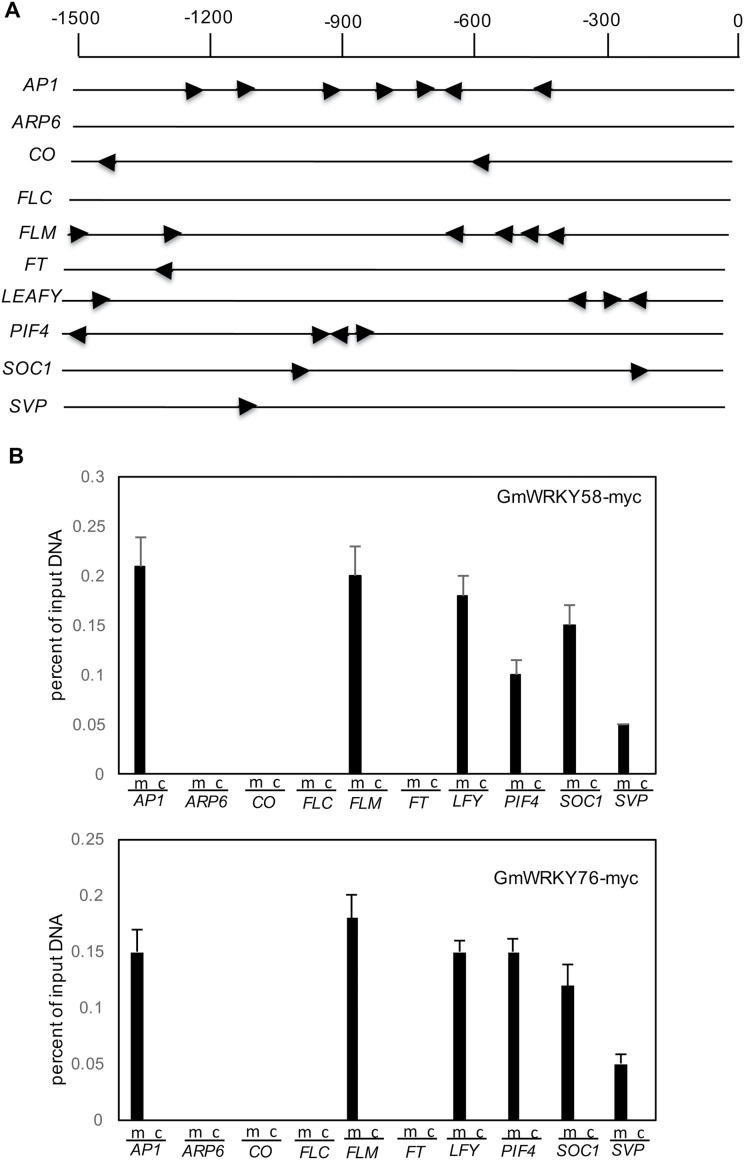 Fig. 10.