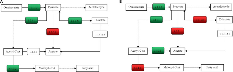 Fig. 10