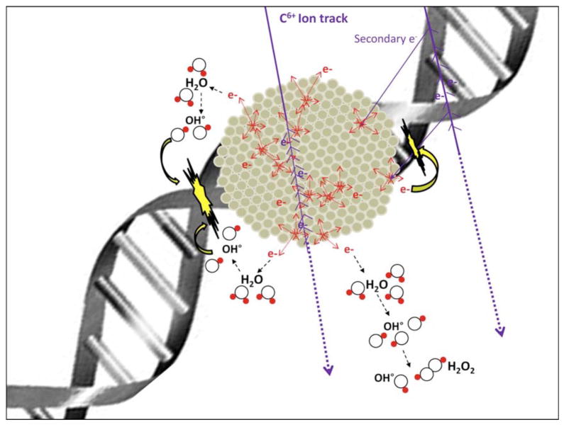 Figure 9