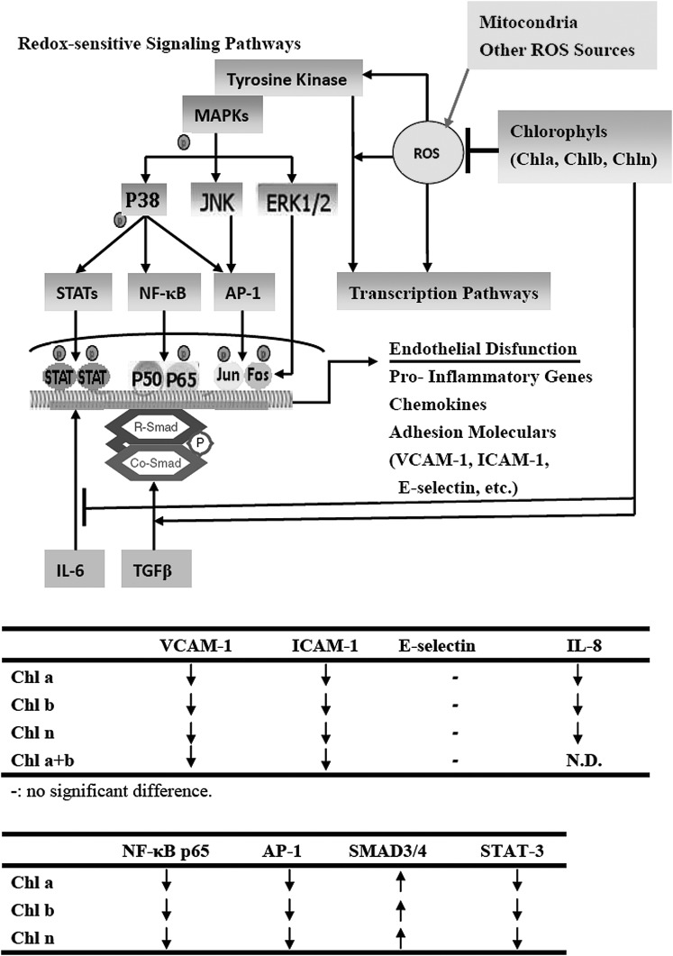 FIG. 7.