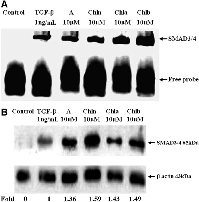 FIG. 5.