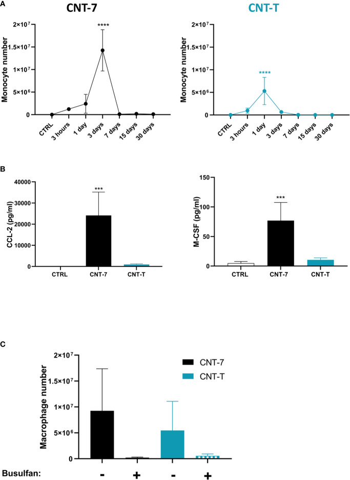 Figure 4