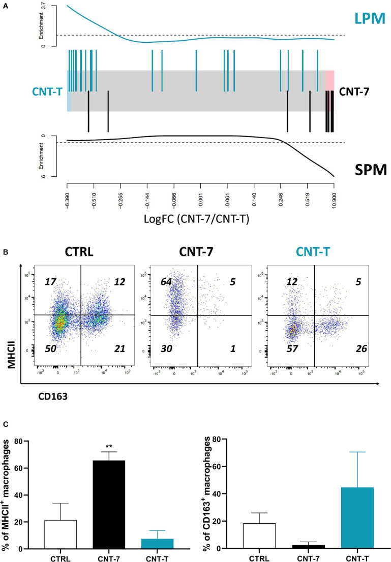 Figure 3