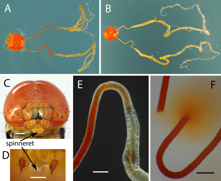 Fig 4