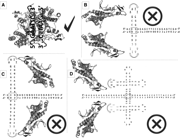 FIG. 2.