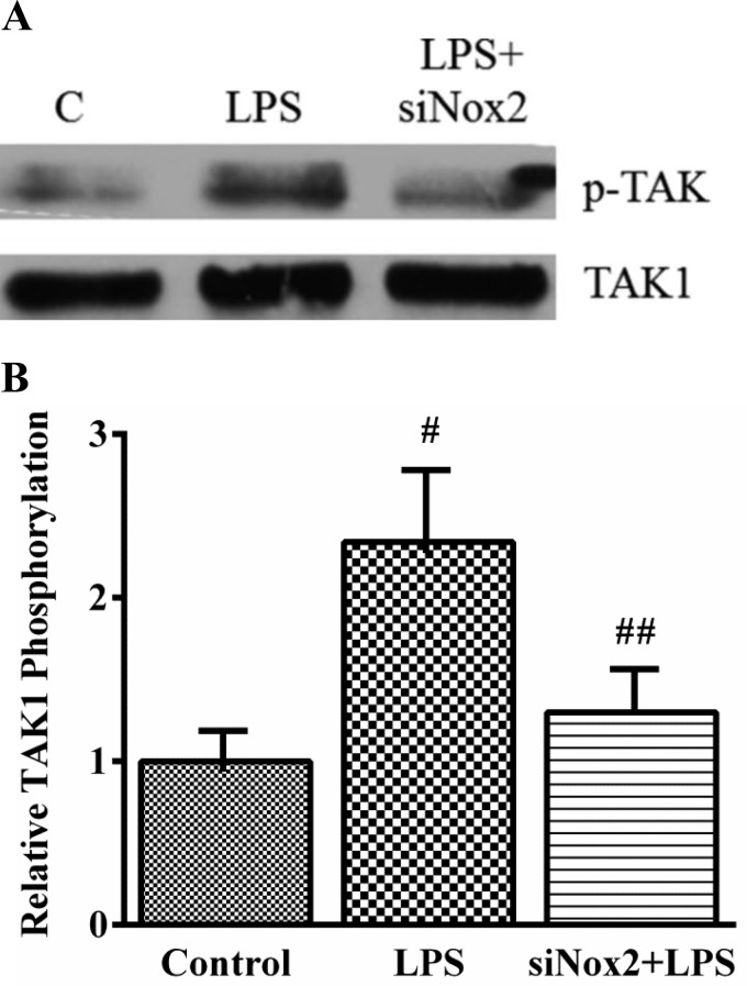 Fig. 8.