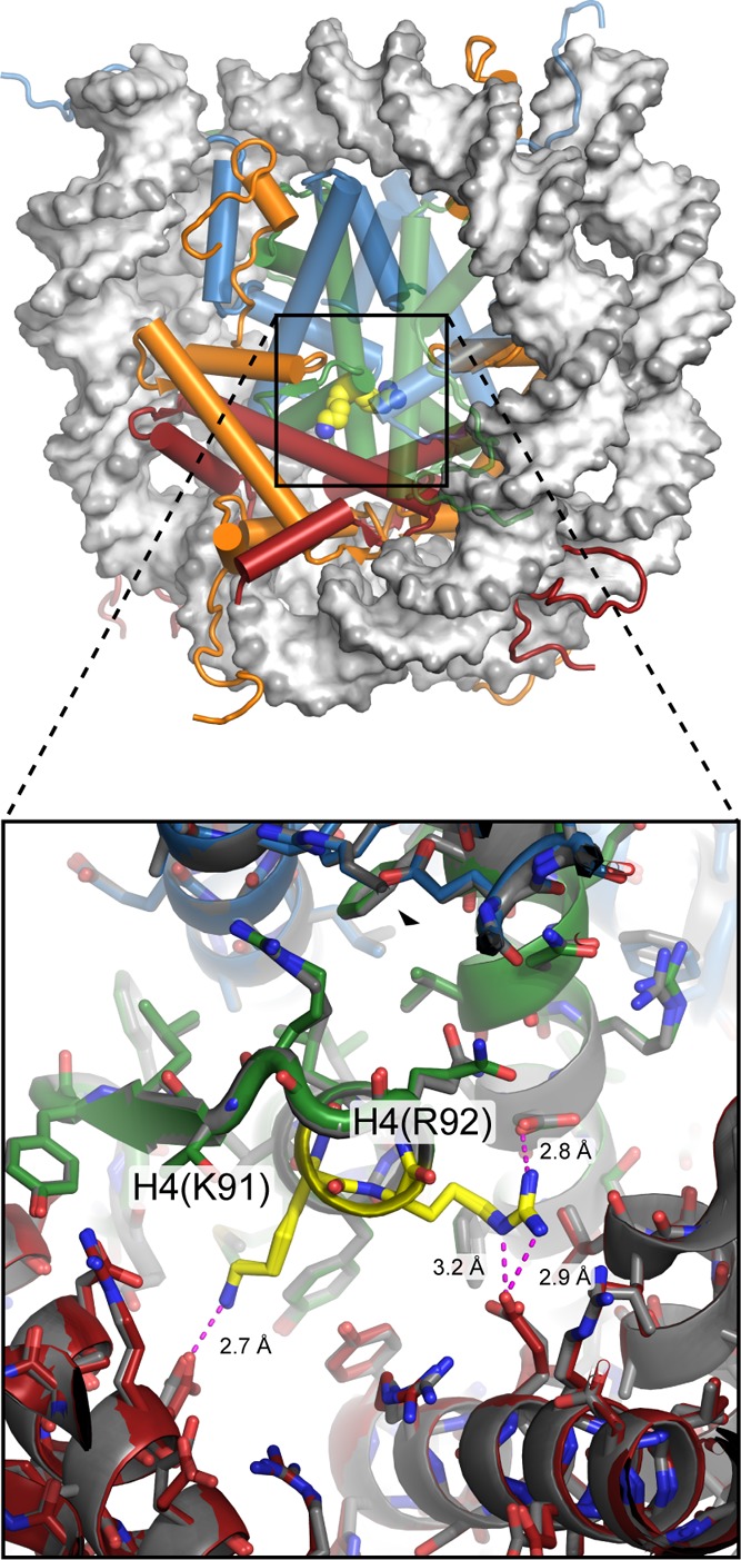 Figure 10