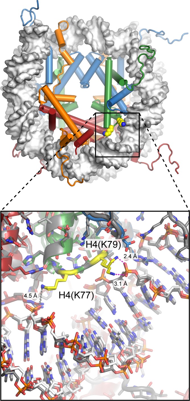 Figure 7