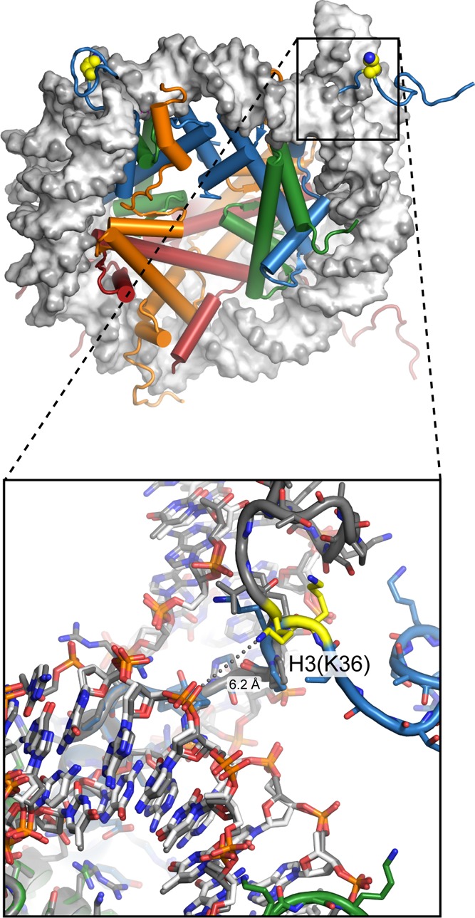 Figure 6