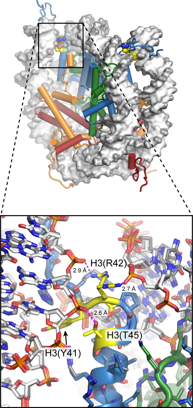 Figure 5