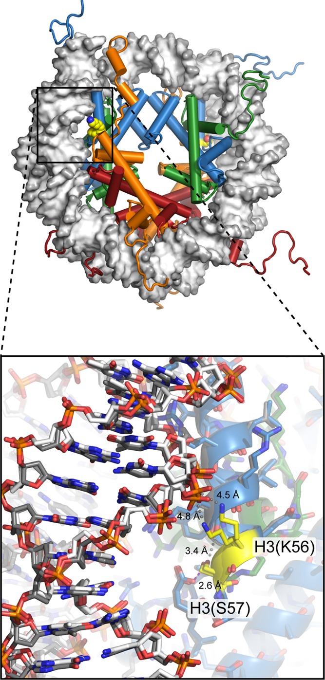 Figure 4