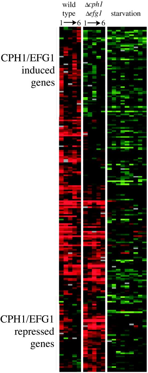 FIG. 6.