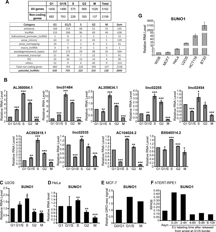 Figure 2—figure supplement 1.