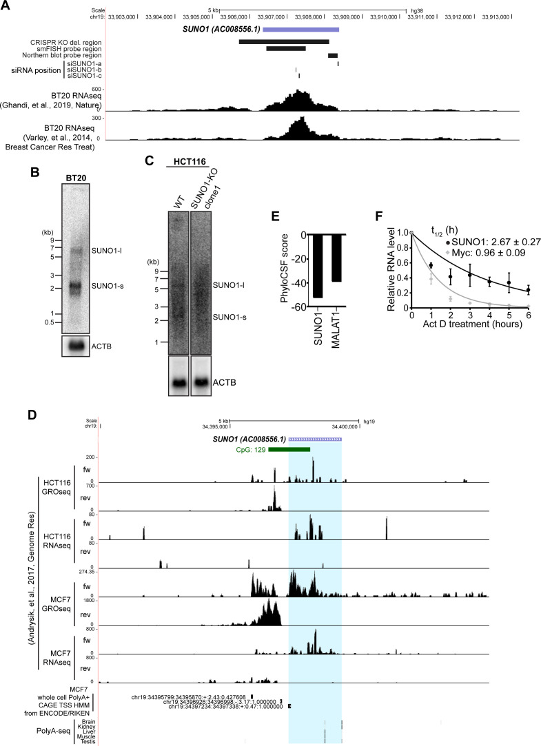 Figure 2—figure supplement 3.