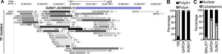 Figure 2—figure supplement 2.