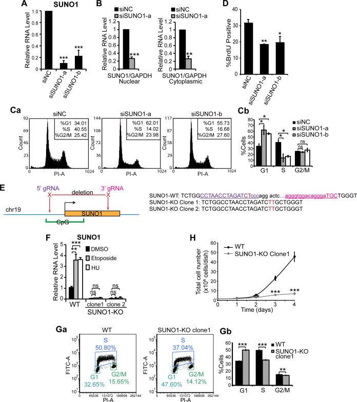 Figure 3—figure supplement 1.