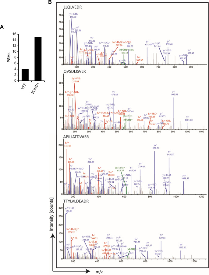 Figure 5—figure supplement 2.