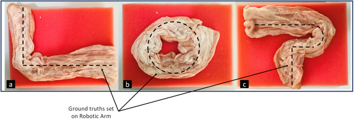 Figure 15