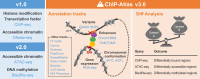 Graphical Abstract
