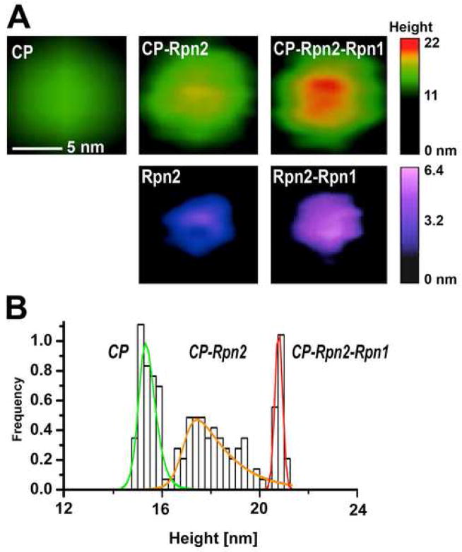 Fig. 1