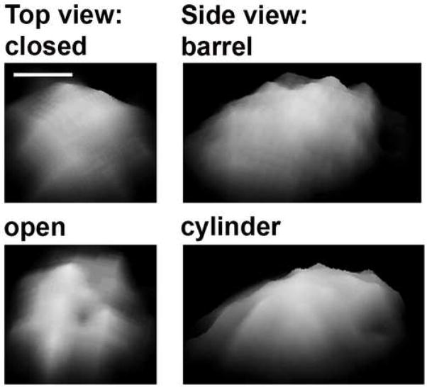 Fig. 2