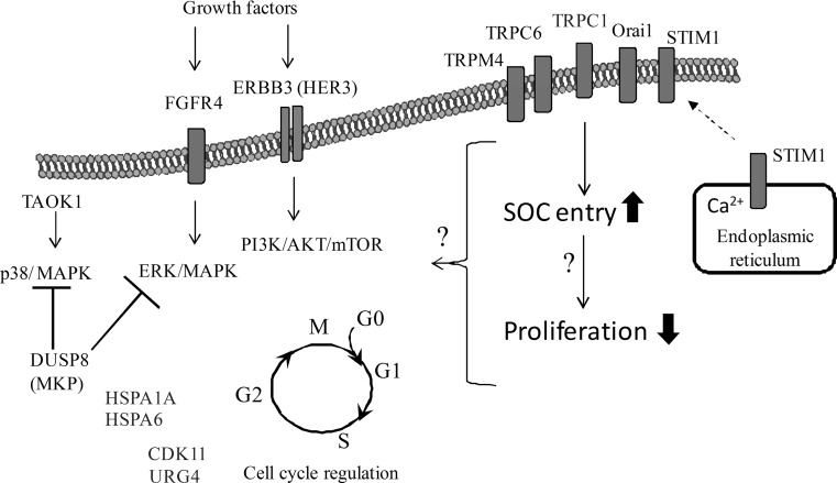 Fig. 4