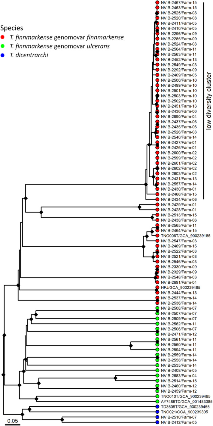 FIGURE 3