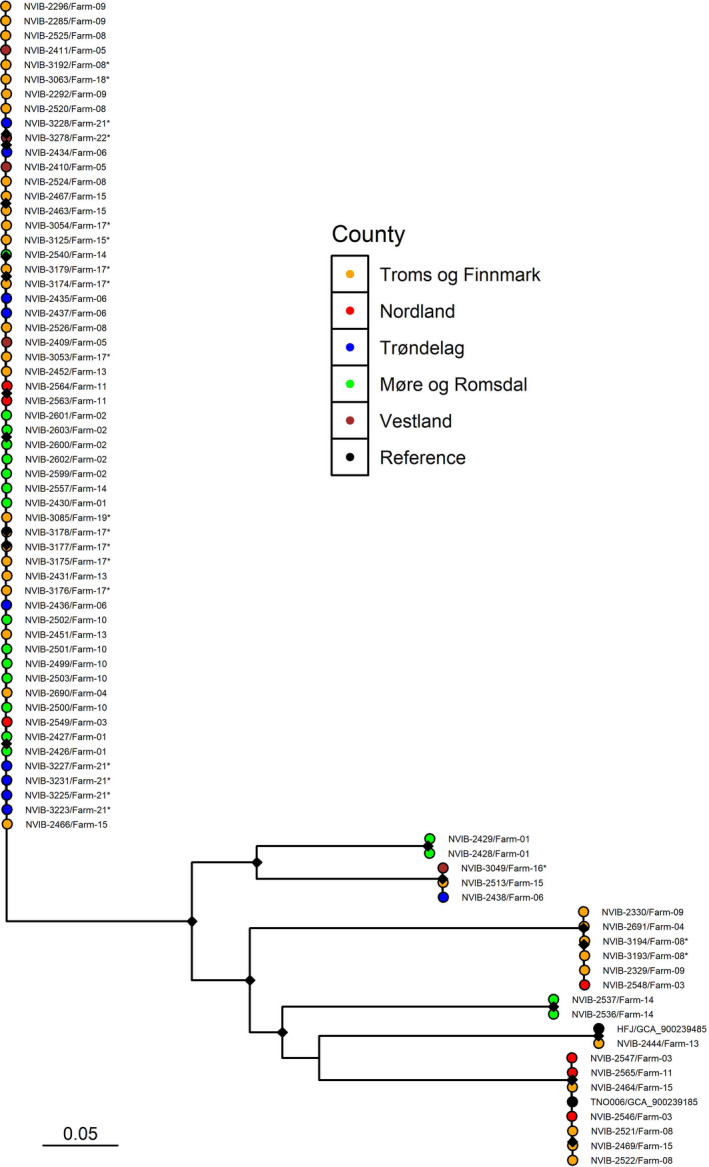 FIGURE 4