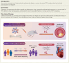 Structured Graphical Abstract