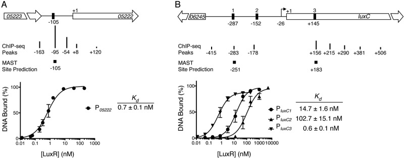 FIG 2 