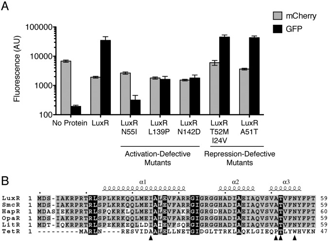 FIG 3 